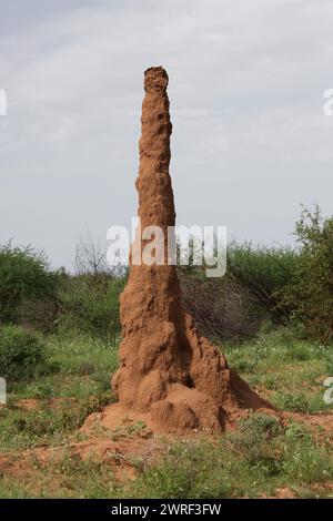 Paesaggio africano con termitario in Etiopia Foto Stock