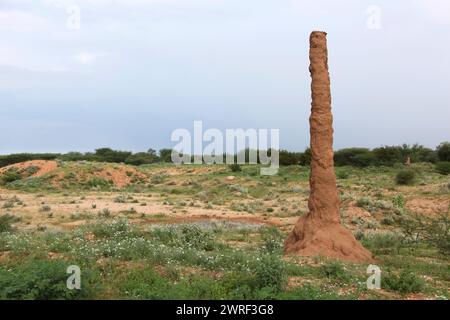 Paesaggio africano con termitario in Etiopia Foto Stock