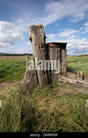 Purton Ship Graveyard sulle rive del fiume Severn, Purton, Gloucestershire, Inghilterra, Regno Unito, Europa Foto Stock