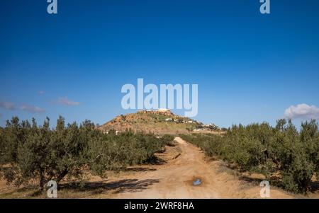 Un attraversamento ferroviario tunisino con l'antico villaggio berbero di Takrouna in cima alla collina in lontananza. Foto Stock