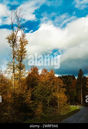 Vista dell'autunno o dell'estate indiana vicino a Kostenz, Perasdorf, Straubing-Bogen, foresta bavarese, Baviera, Germania Kostenz bb 009 Foto Stock