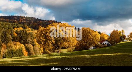 Vista dell'autunno o dell'estate indiana vicino a Perasdorf, Straubing-Bogen, foresta bavarese, Baviera, Germania Perasdorf bb 009 Foto Stock