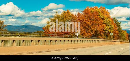 Vista dell'autunno o dell'estate indiana vicino a Winzer, Danubio, Deggendorf, Baviera, Germania Winzer ba 001 Foto Stock