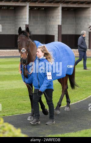 Wincanton Racecourse, giovedì 3 febbraio 2022 - prima gara Foto Stock