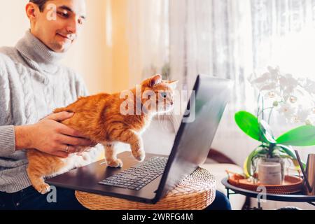 Uomo che lavora online da casa con un animale domestico utilizzando un computer portatile. Gatto di zenzero guarda lo schermo interessato al computer. Interruzione durante il lavoro su Internet Foto Stock