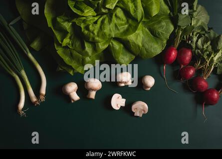 Verdure e funghi verdi e sani appena raccolti su sfondo verde all'inizio della primavera. Foto Stock