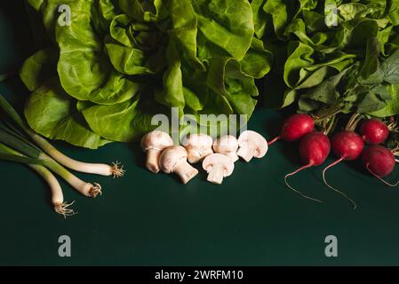 Verdure e funghi verdi e sani appena raccolti su sfondo verde all'inizio della primavera. Foto Stock
