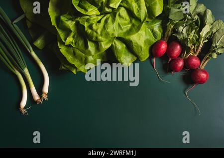 Verdure e funghi verdi e sani appena raccolti su sfondo verde all'inizio della primavera. Foto Stock