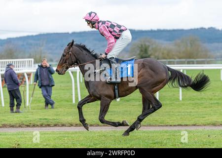 Quinta gara a Wincanton, 3 febbraio 2022 - Peckmoor Farm Lodges' Novices' hurdle Foto Stock