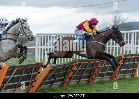 Quinta gara a Wincanton, 3 febbraio 2022 - Peckmoor Farm Lodges' Novices' hurdle Foto Stock