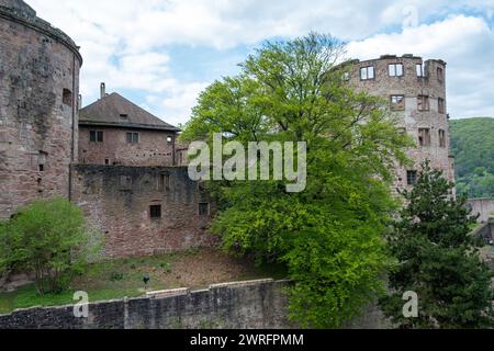 Lato est del castello di Heidelberg, popolare destinazione di viaggio nel Baden-Wurttemberg, Germania. Punto di riferimento, famose rovine medievali, sfondo naturale. Foto Stock