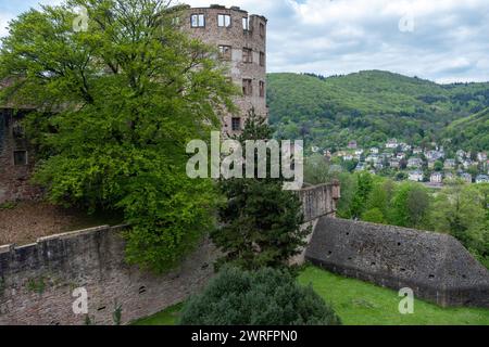 Lato est del castello di Heidelberg, popolare destinazione nel Baden-Wurttemberg, Germania. Monumento storico, rovine medievali famose, natura, sfondo della città. Foto Stock