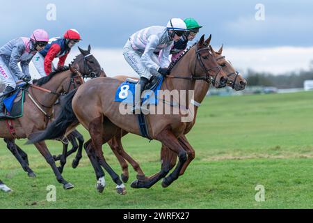 Mares' Open National Hunt Flat Race a Wincanton, 3 febbraio 2022 Foto Stock