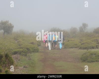 Portogallo. 13 marzo 2023. In nebbia e nebbia, un gruppo escursionistico si sta dirigendo verso l'altopiano di Paul da Serra, nella parte occidentale dell'isola atlantica di Madeira, una regione autonoma del Portogallo. L'intero altopiano, principalmente ricoperto di gorse, bracken e heather, è stato una riserva naturale dal 1984. Credito: Beate Schleep/dpa/Alamy Live News Foto Stock