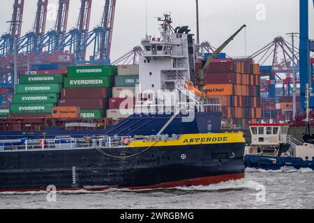 Porto di Amburgo, HHLA Container Terminal Burchardkai, Athabaskakai, sull'Elba, nave portacontainer Elbsky, Amburgo, Germania Foto Stock