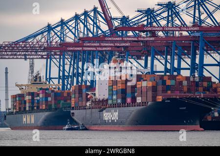 Terminal container Tollerort, le navi container sono caricate e scaricate, uno dei 4 terminal container nel porto di Amburgo, Amburgo, Germania Foto Stock