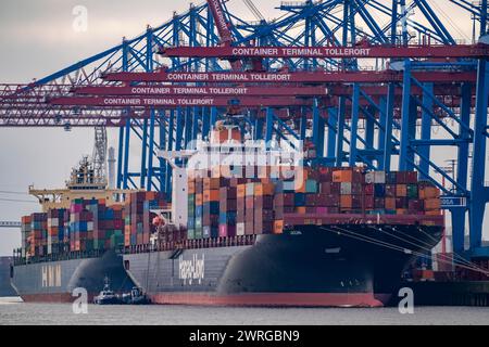 Terminal container Tollerort, le navi container sono caricate e scaricate, uno dei 4 terminal container nel porto di Amburgo, Amburgo, Germania Foto Stock