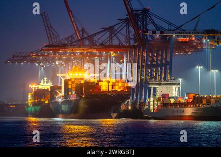 Terminal container Tollerort, le navi container sono caricate e scaricate, uno dei 4 terminal container nel porto di Amburgo, Amburgo, Germania Foto Stock