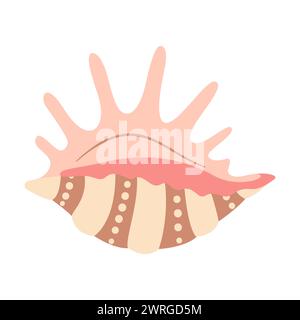 Spider Conch Seashell disegnato a mano. Conchiglia a forma di cartoni animati isolata su sfondo bianco. Illustrazione vettoriale Illustrazione Vettoriale