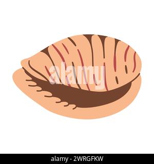 Tiger Cowrie Seashell disegnato a mano. Conchiglia a forma di cartoni animati isolata su sfondo bianco. Illustrazione vettoriale Illustrazione Vettoriale