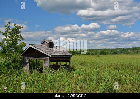 Gazebo di osservazione in legno nel mezzo di una palude in una giornata di sole Foto Stock