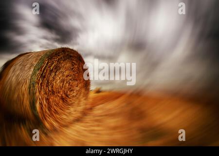 Primo piano astratto di una balla di fieno in un campo, San Giuliano nuovo, Alessandria, Piemonte, Italia Foto Stock