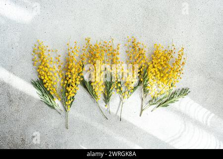 Vista dall'alto dei gambi di fiori gialli di mimosa che giacciono fianco a fianco su un tavolo Foto Stock