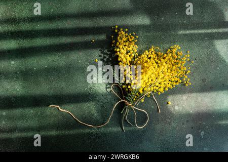 Vista dall'alto di un mucchio di steli di mimosa gialli appena raccolti legati con cordoncino alla luce del sole su un tavolo Foto Stock