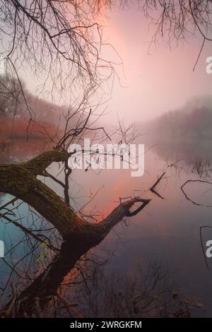 Foggy Sunrise sul lago, Klaipeda, Lituania Foto Stock