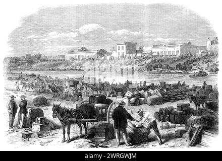 The War in America: The Confederates Questing Brownsville, Texas, dopo aver sentito parlare dell'avvicinamento dei trasporti federali, 1864. Incisione da una fotografia del signor A. G. Wedge. "La città di Brownsville si trova sulla riva texana del Rio grande (o Rio Bravo) del Norte, a circa due miglia da Matamoras, una città di qualche nota in Messico, sul lato sud del fiume. Sebbene costruito quasi interamente in legno, Brownsville ha un aspetto pulito e luminoso. C'era una considerevole guarnigione confederata in questo luogo; ma gli abitanti, avendo, lunedì 2 novembre, 1863, ha ricevuto informazioni sull'arrivo di una f Foto Stock