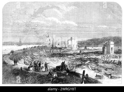 Scena dell'esplosione di riviste di polvere da sparo vicino a Erith, 1864. "...una vista generale, presa dall'argine che guarda lungo il fiume, ... [dopo] l'esplosione distruttiva alle polveri del Belvedere, vicino a Erith, sabato mattina, il 1 ottobre... [un] inchiesta si è tenuta al Guy's Hospital, dal signor Serjeant Payne, coroner per la città di Londra, sui corpi di due persone che morirono in ospedale per le ferite che ricevettero a Belvedere...it apparve che due chiatte, che avevano portato polvere da sparo dai mulini di Faversham, erano giaccate al molo appartenente al loro magazin Foto Stock