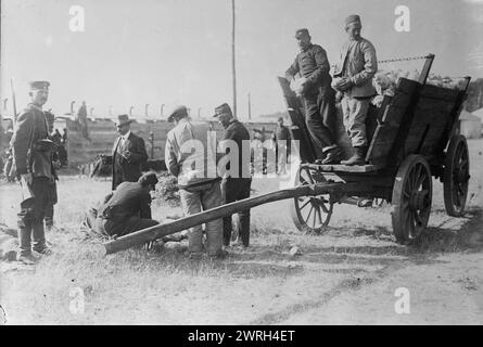 Wynsdorf (Zossen), prigionieri francesi che ricevevano i cavoli, 7 gennaio 1915 (data creata o pubblicata più tardi). Prigionieri francesi al campo di prigionia Zossen, Wu&#xa8;nsdorf, Zossen, Germania, che prendono i cavoli da un carro durante la prima guerra mondiale Foto Stock