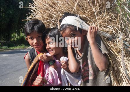 POKHARA, NEPAL - 4 NOVEMBRE 2005: I bambini nepalesi trasportano il fieno alla maniera tradizionale. Foto Stock