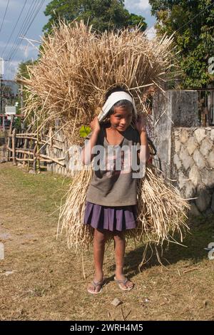 POKHARA, NEPAL - 4 NOVEMBRE 2005: I bambini nepalesi trasportano il fieno alla maniera tradizionale. Foto Stock