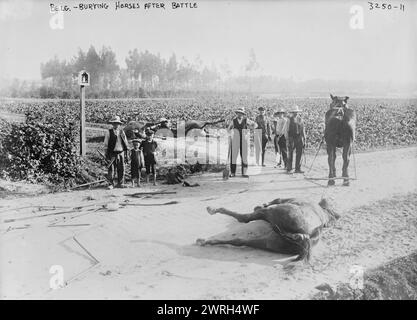 Belg. [Cioè, Belgio], seppellire cavalli dopo la battaglia, 1914. Persone che guardano un cavallo morto sulla strada dopo la battaglia di Haelen che fu combattuta dagli eserciti tedeschi e belgi il 12 agosto 1914 nei pressi di Haelen, Belgio durante la prima guerra mondiale Foto Stock