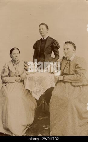 Foto di gruppo: Sorelle, moglie e sorelle della moglie del mercante GV Yudin, 1895. Questa collezione comprende più di quattrocento fotografie della vita quotidiana nella provincia di Yenisei nel tardo periodo zarista. Le fotografie includono contadini, cosacchi e funzionari di alto rango. Foto Stock