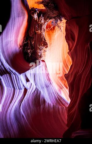 Antelope Canyon in Pagina, Arizona Foto Stock