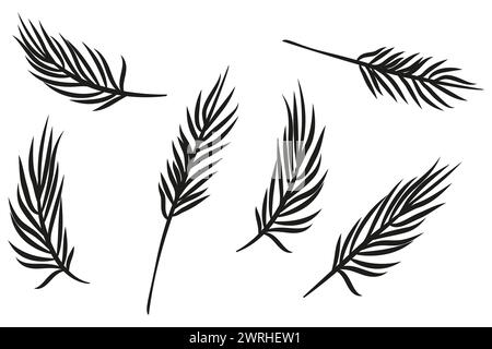 Set di silhouette con foglie di palma tropicale. Illustrazione vettoriale. EPS 10. Illustrazione Vettoriale