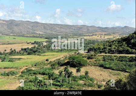 Vista panoramica di una valle verde con palme, valle del mulino di zucchero e montagne sullo sfondo, Cuba, America centrale Foto Stock