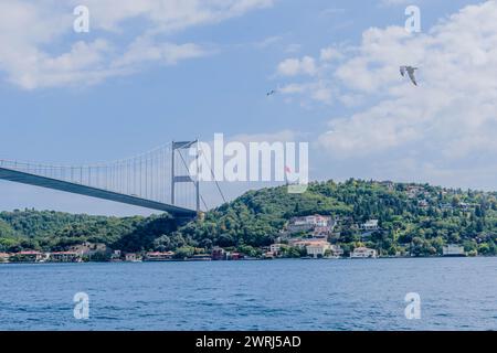 Ponte sospeso sul Bosforo con uccelli volanti e una bandiera, a Istanbul, Turkiye Foto Stock