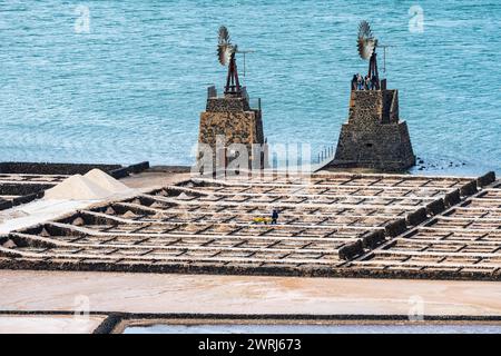 Estrazione del sale marino, sale di Janubio, Salinas de Janubio, Lanzarote, Isole Canarie, Spagna Foto Stock