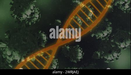 Immagine di 3D coronavirus Covid 19 cellule che si diffondono con filamento di DNA rotante Foto Stock