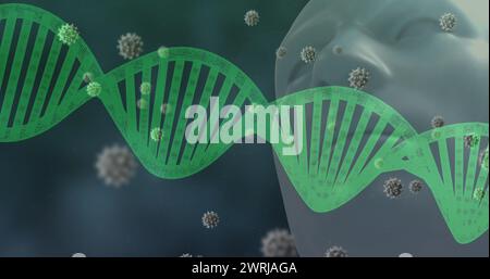 Immagine di filamento di DNA rotante e coronavirus Covid 19 cellule che si diffondono su modello di testa umana Foto Stock