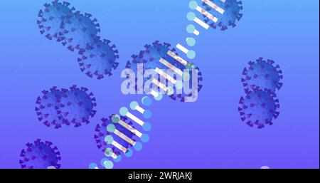 Immagine di 3D coronavirus Covid 19 cellule che si diffondono con filamento di DNA rotante Foto Stock