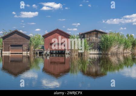 Rifugi per la pesca sul lago Neusiedl Lago Neusiedler SEE nel Burgenland, Austria Foto Stock