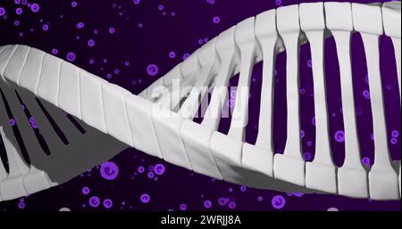 Immagine del dna su cellule viola su sfondo viola Foto Stock