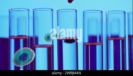 Immagine dei globuli bianchi sulle provette di laboratorio su sfondo blu Foto Stock