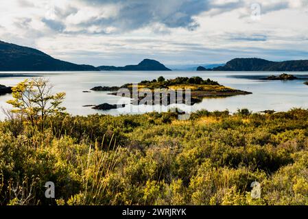 Bahia Ensenada Zaratiegui, Parco Nazionale Terra del fuoco, Patagonia, Argentina Foto Stock