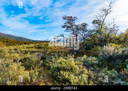 Bahia Ensenada Zaratiegui, Parco Nazionale Terra del fuoco, Patagonia, Argentina Foto Stock