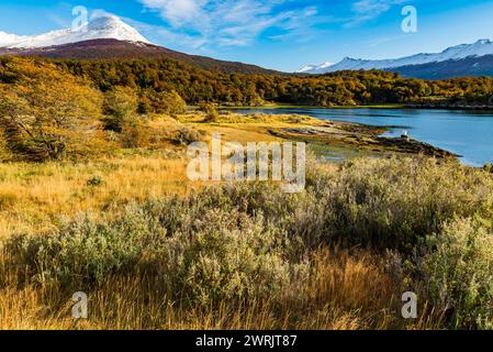 Bahia Ensenada Zaratiegui, Parco Nazionale Terra del fuoco, Patagonia, Argentina Foto Stock